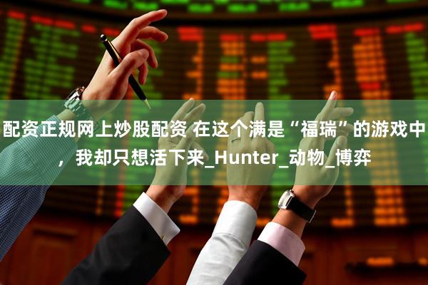 配资正规网上炒股配资 在这个满是“福瑞”的游戏中，我却只想活下来_Hunter_动物_博弈